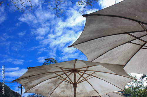 Big white umbrellas in the garden with blue sky background in the sunny day