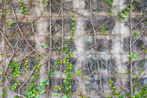 The walls are adorned with trees and leaves for wallpaper.