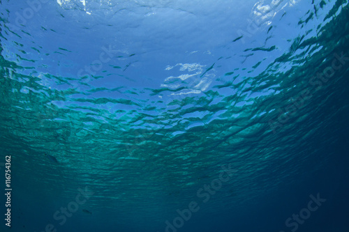 Underwater blue background