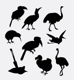 Bird poultry silhouette. Good use for symbol, logo, web icon, mascot, sticker design, or any design you want.
