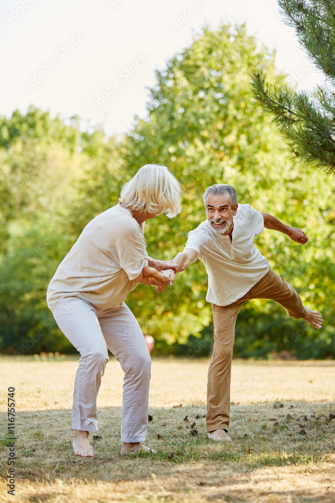Fototapeta premium Glückliches Senioren Paar albert herum