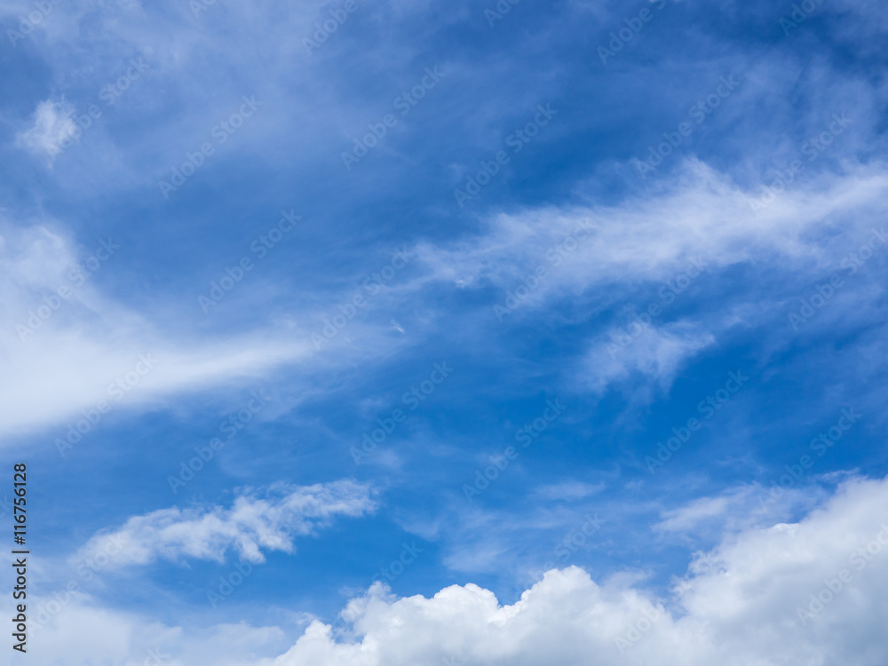 Fototapeta premium blue sky