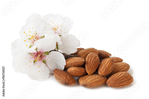 Dried almonds with almond blossom, isolated on white background