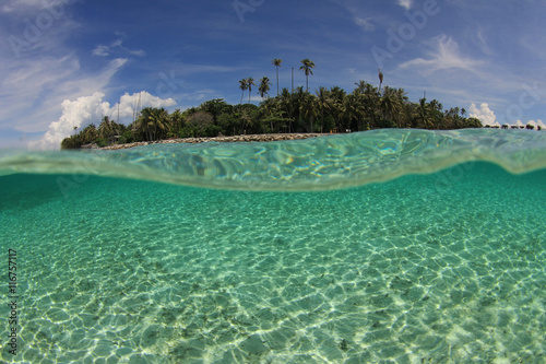 Tropical island and sea photo