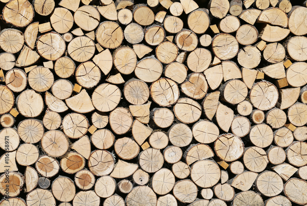 The firewood, which are very necessary in the winter. The firewood, which are very necessary in the winter.