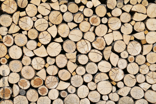 The firewood, which are very necessary in the winter.