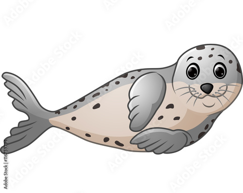Cute seal cartoon