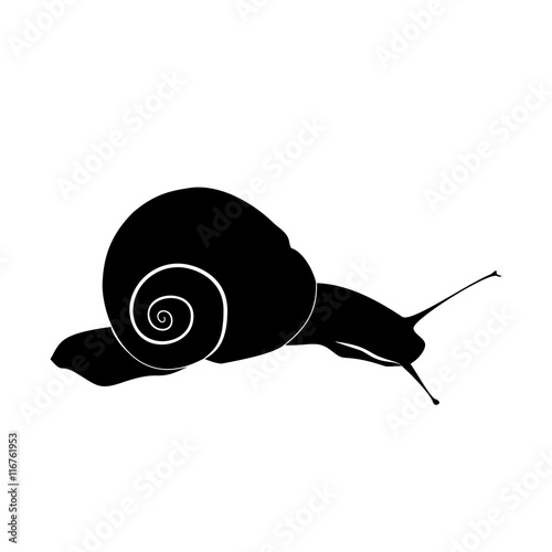 Abstract illustration, black and white silhouette of snail. Snail on slope.