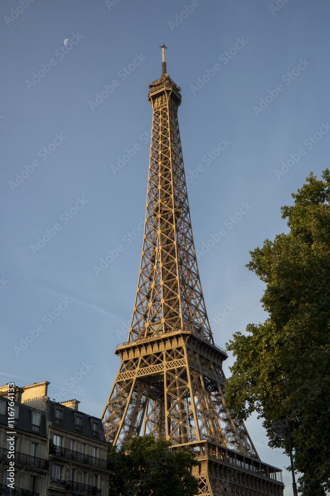 Eiffel tower at golden hour, Paris