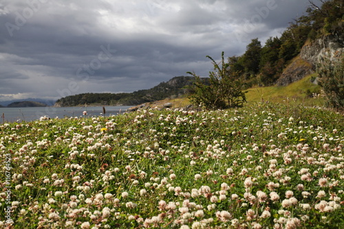 Coast in Patagonia, Chile