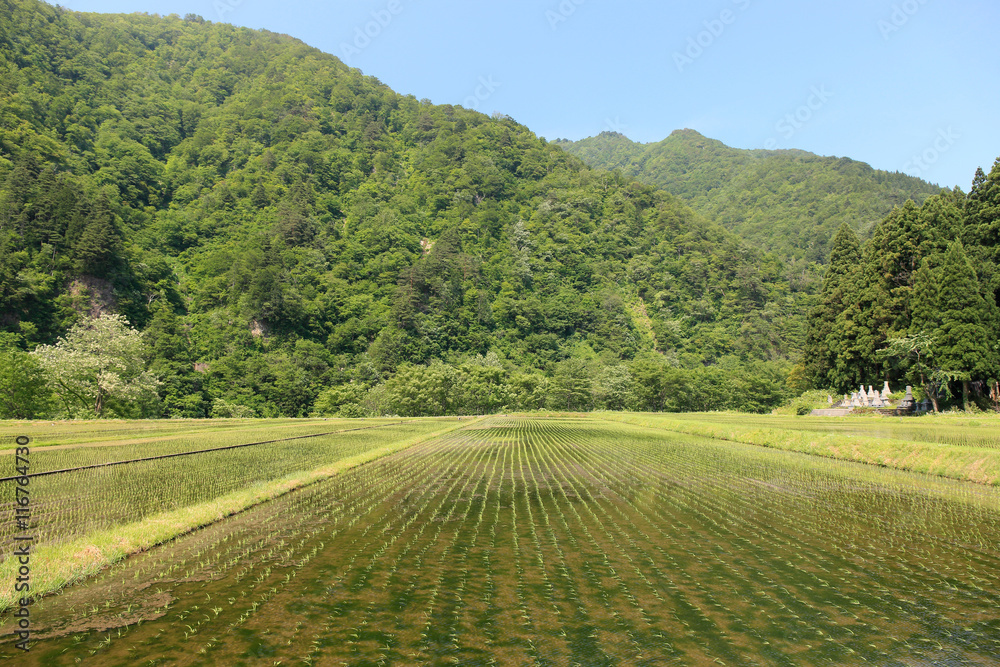 五箇山菅沼集落