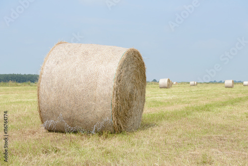 stubble field with hay bales