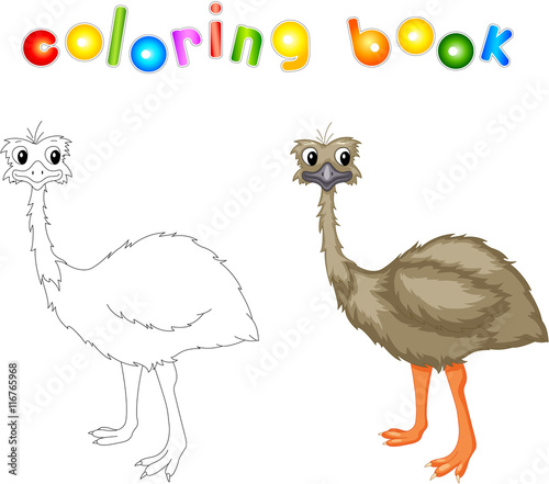 Funny cartoon emu. Coloring book photo