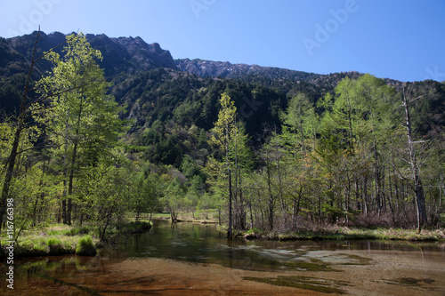 上高地田代池