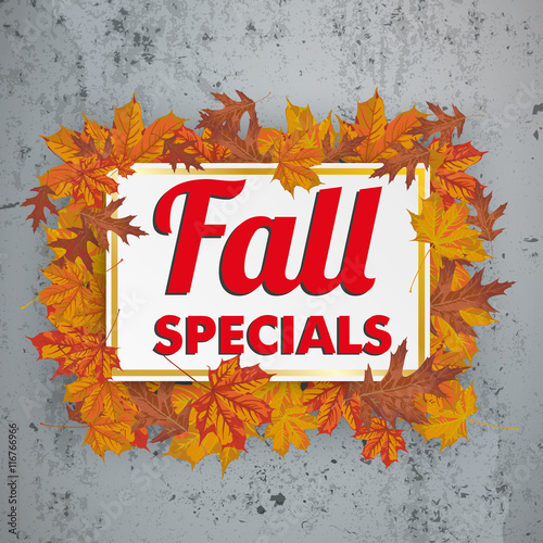 Golden Paper Board Fall Specials Foliage Concrete