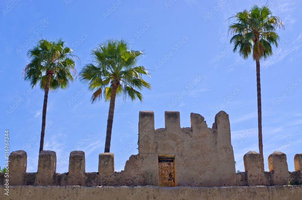 Obraz premium Walls of riad in Morocco
