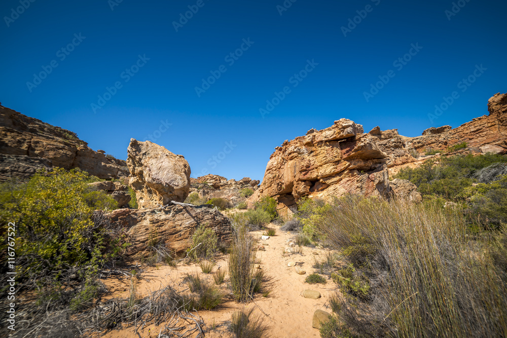 Cederberg Wilderness Area