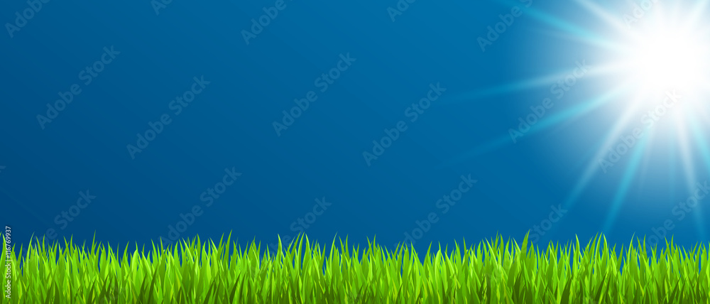 Obraz premium Sommerwiese