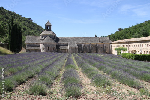 Podobny obraz