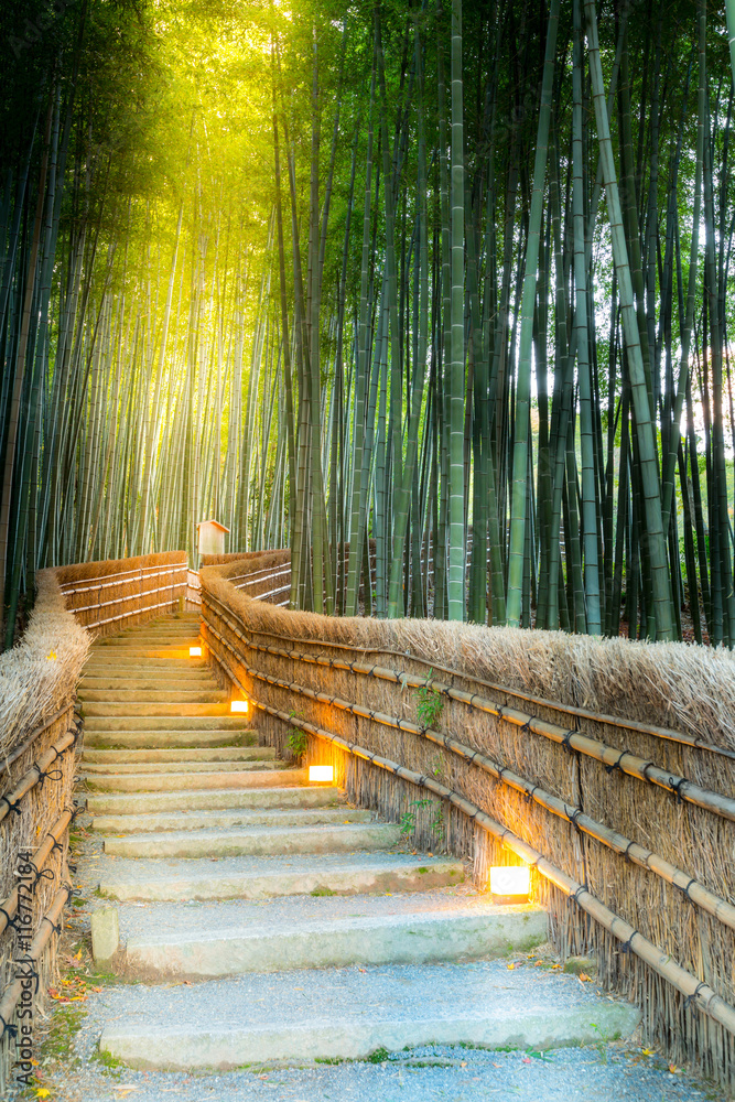 Naklejka premium Bambusowy Las Arashiyama
