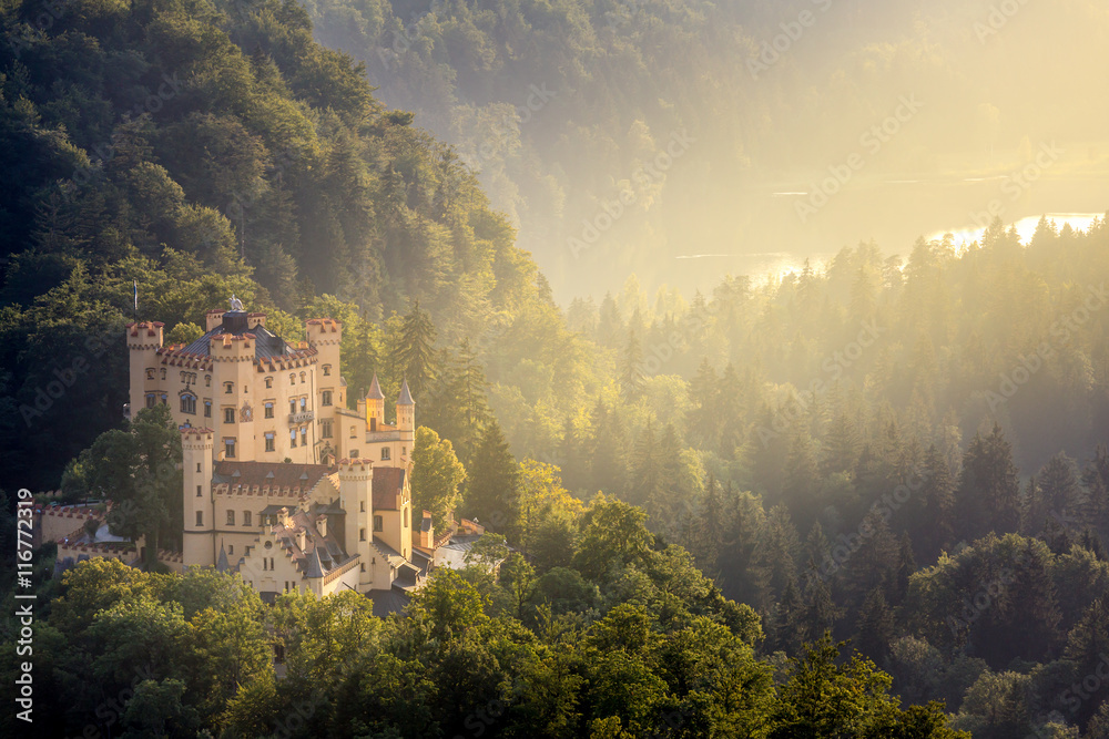 Fototapeta premium Hohenschwangau castle at Fussen Bavaria, Germany