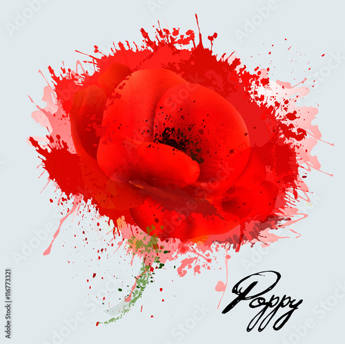 Fototapeta Naklejka Na Ścianę i Meble -  Abstract watercolor poppy flower. Vector.