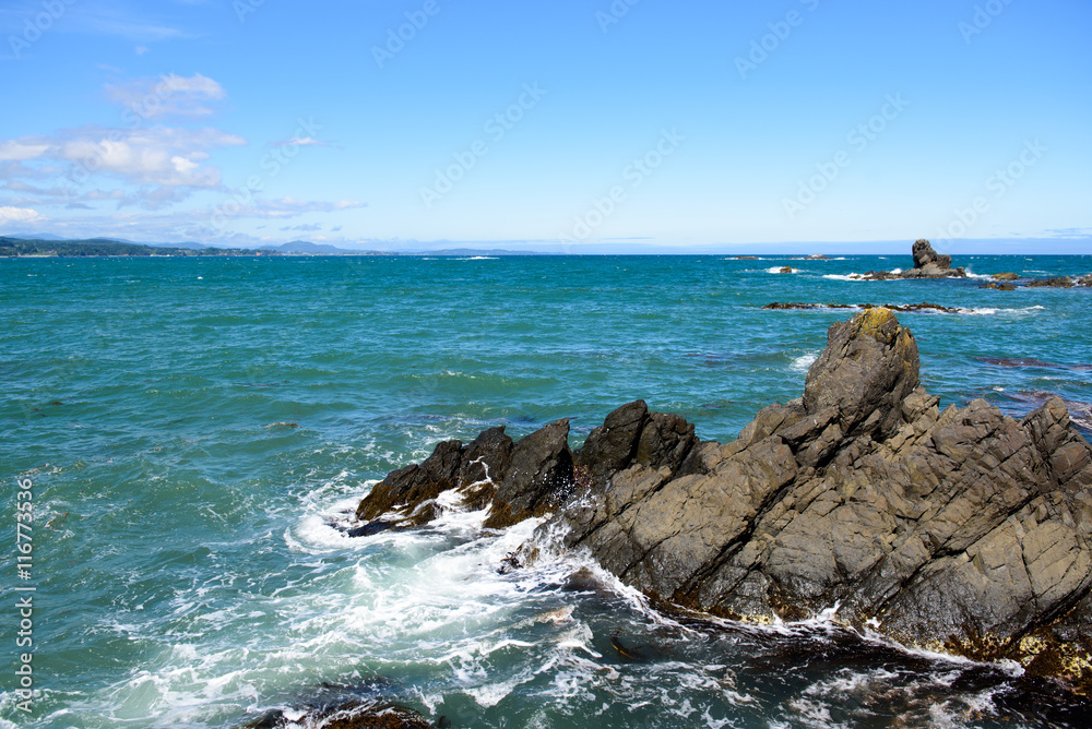 海 海