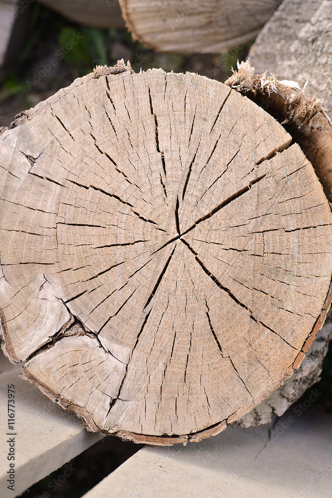 Cracked log. background of cracked section of old dry wood Cracked log. background of cracked section of old dry wood