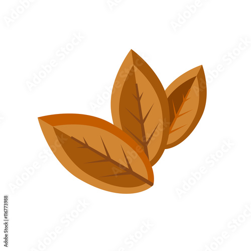Three Dry Tobacco Leaves Icon