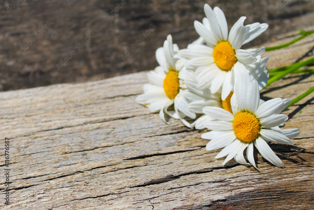 White camomile flowers on wooden background Stock Photo | Adobe Stock