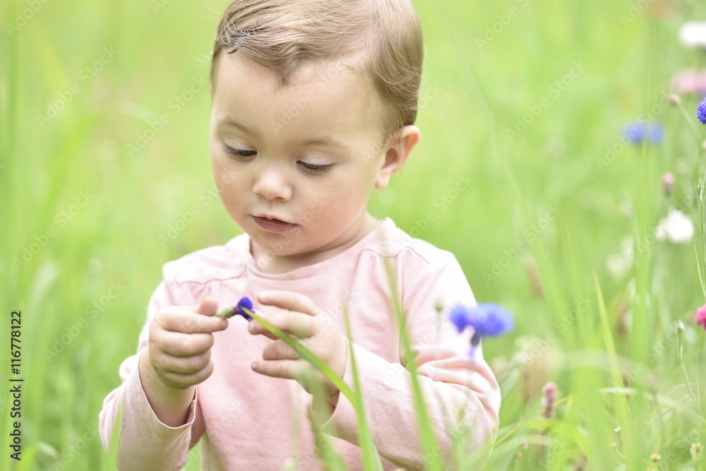 Cute 2-year-old girl playing in wild flower field Cute 2-year-old girl playing in wild flower field