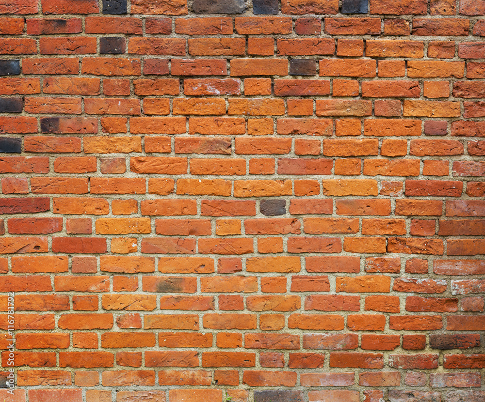 Obraz premium Old brick wall