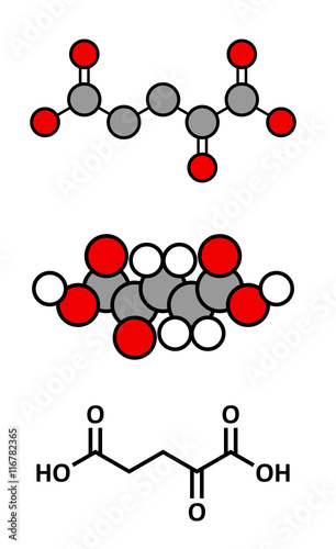 Alpha-ketoglutaric acid (ketoglutarate, oxo-glutarate).  photo