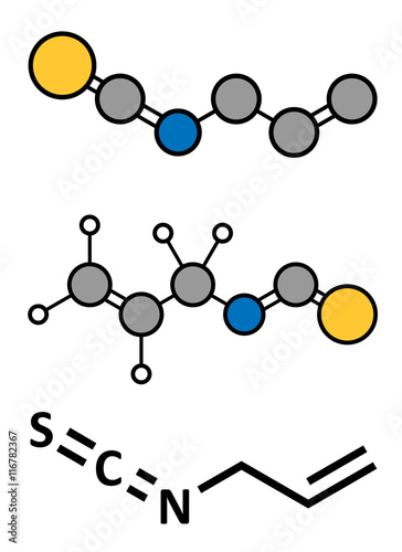 Allyl isothiocyanate mustard pungency molecule. 