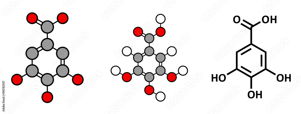Gallic acid (trihydroxybenzoic acid) molecule. Gallic acid (trihydroxybenzoic acid) molecule.