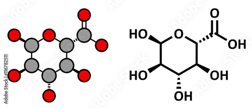 Glucuronic acid molecule.  photo