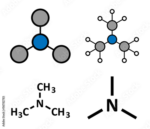 Trimethylamine volatile tertiary amine molecule. 