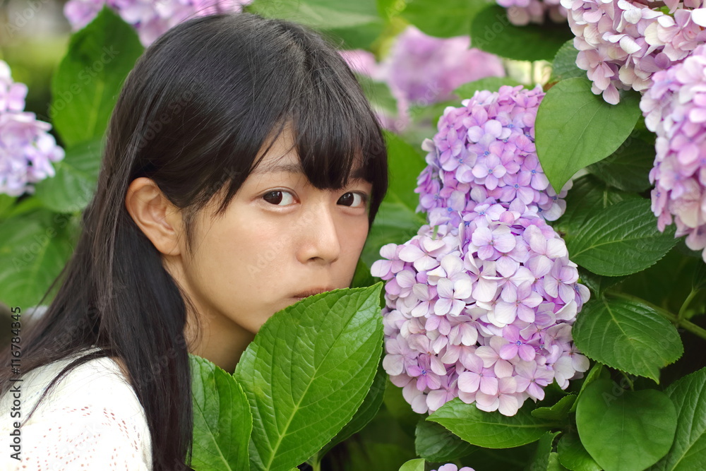 紫陽花に顔を寄せる高校生