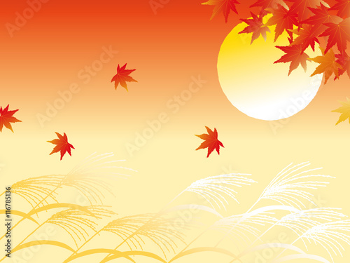 Autumn leaves and full moon