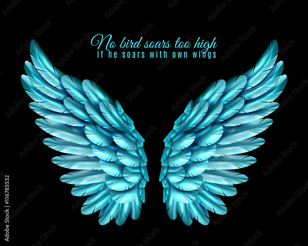 Color Bird Wing Background Color Bird Wing Background