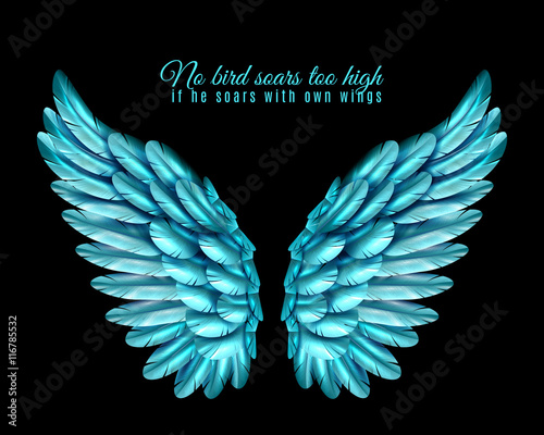 Color Bird Wing Background