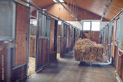 Obraz na plátně Bales of hay in a stable block