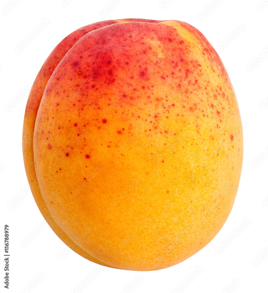 Obraz premium apricots