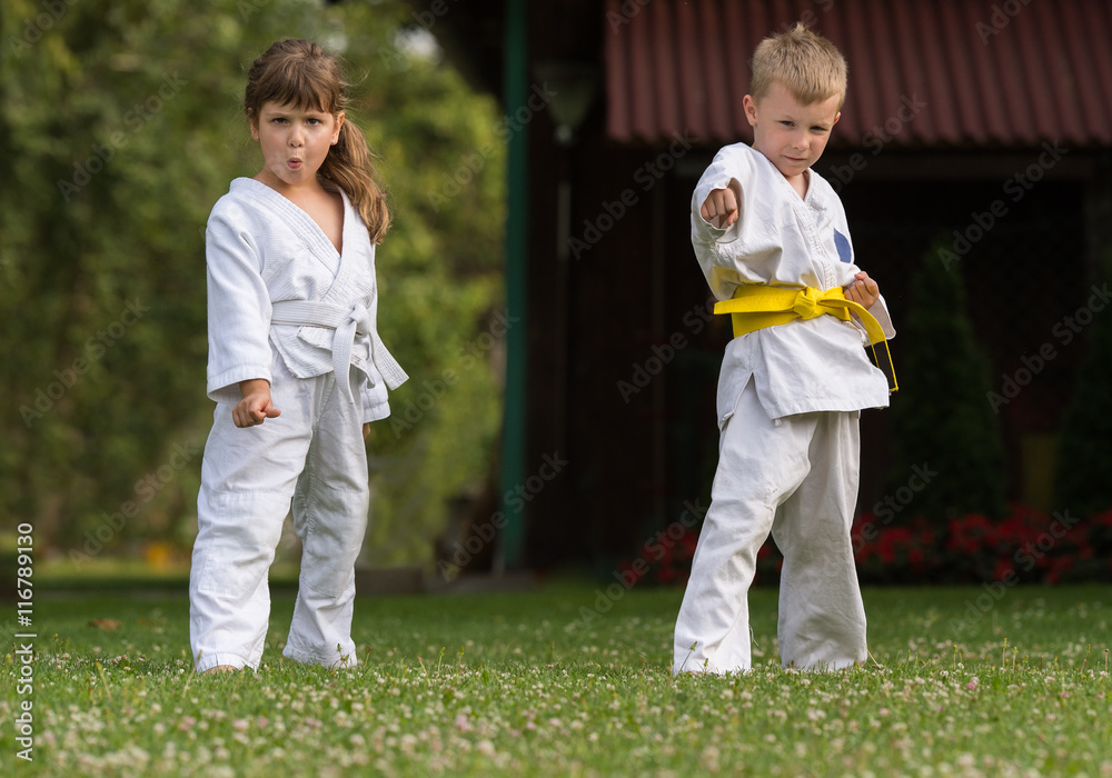 Karate martial Arts