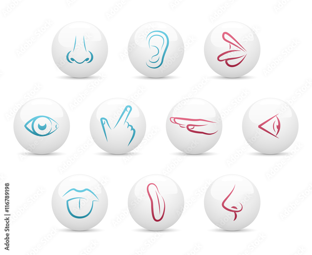 Five senses - buttons Five senses - buttons