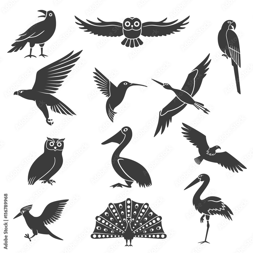 Fototapeta premium Stylized Birds Silhouettes Black Icons Set 