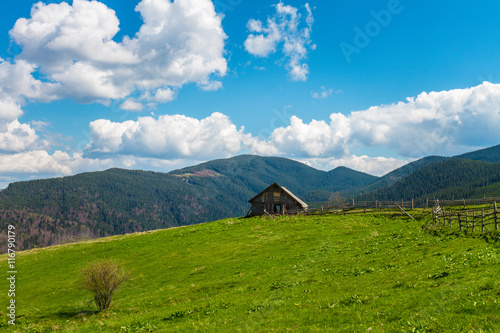 Green Carpathians Mountains 
