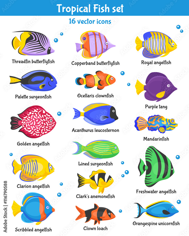 Tropical Fish Icons Set Tropical Fish Icons Set