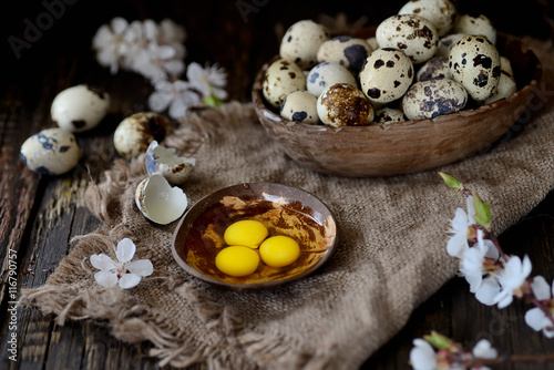 Quail egg yolks in a white plate on a wooden background