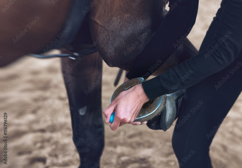 Woman cleaning a horses hoof with a scraper
